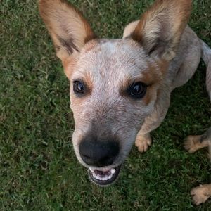 Meet your Posher, Claytin